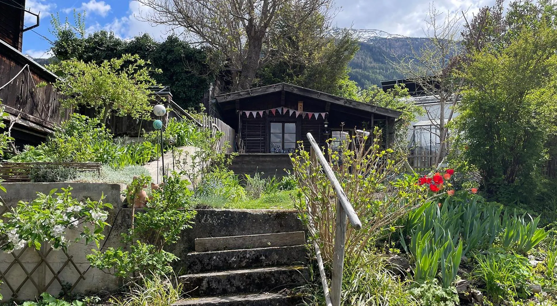 Uriges Apartment In Der Alten Schmiede 因斯布鲁克 0*,  奥地利